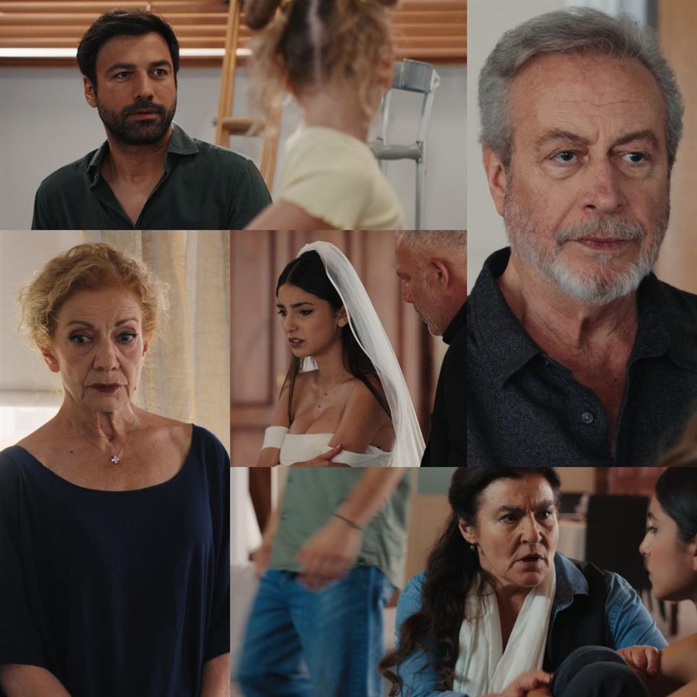 Η Γη της Ελιάς