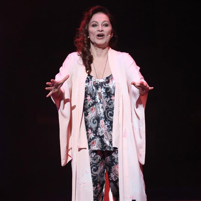 Φιλαρέτη Κομνηνού: "Αν ήθελα ένα σύντροφο θα τον είχα"


