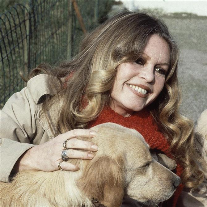 Μπριζίτ Μπαρντό