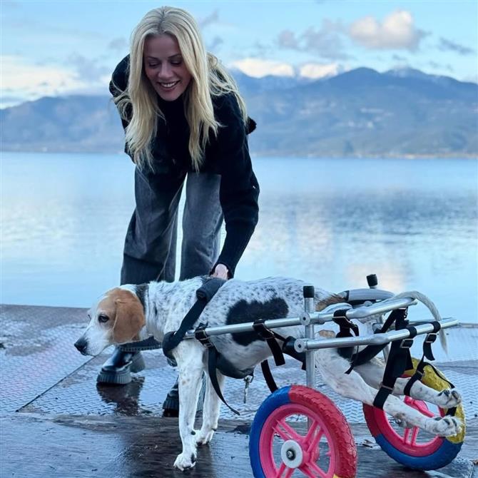 Ζέτα Μακρυπούλια: Χριστούγεννα στη Λίμνη Τριχωνίδα μαζί με τη σκυλίτσα του Μιχάλη Χατζηγιάννη - Η ανάρτησή της