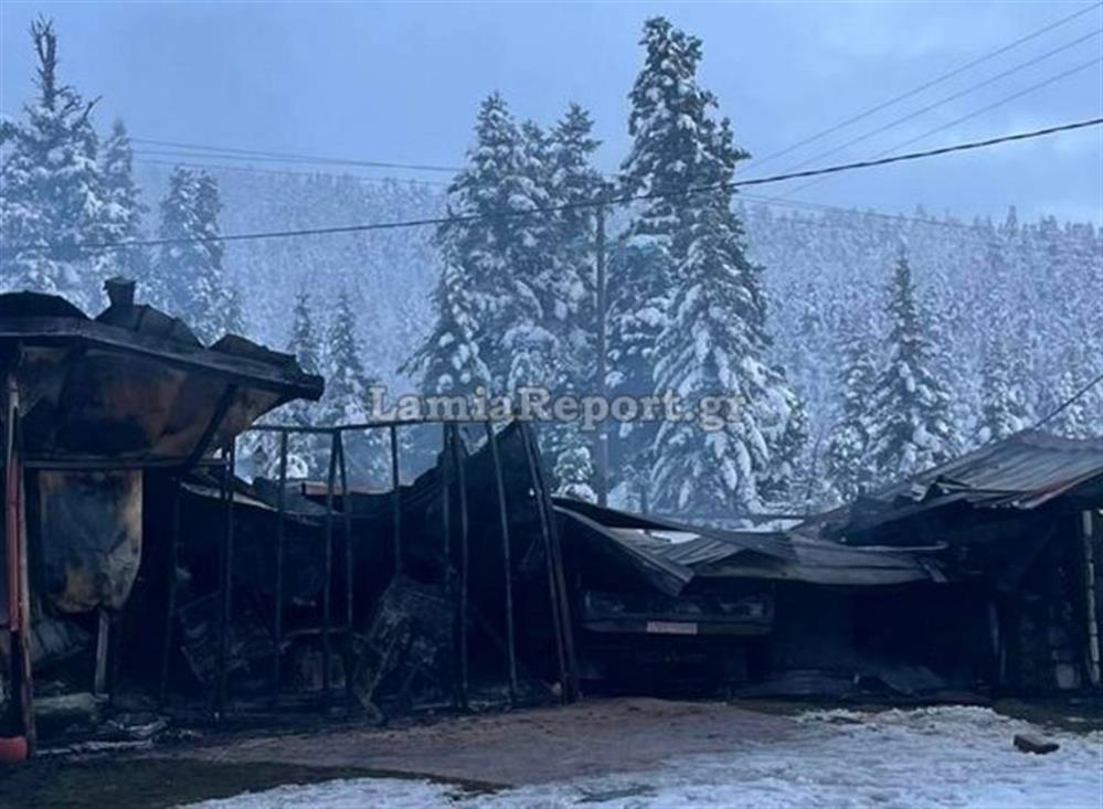 Φθιώτιδα - φωτιά