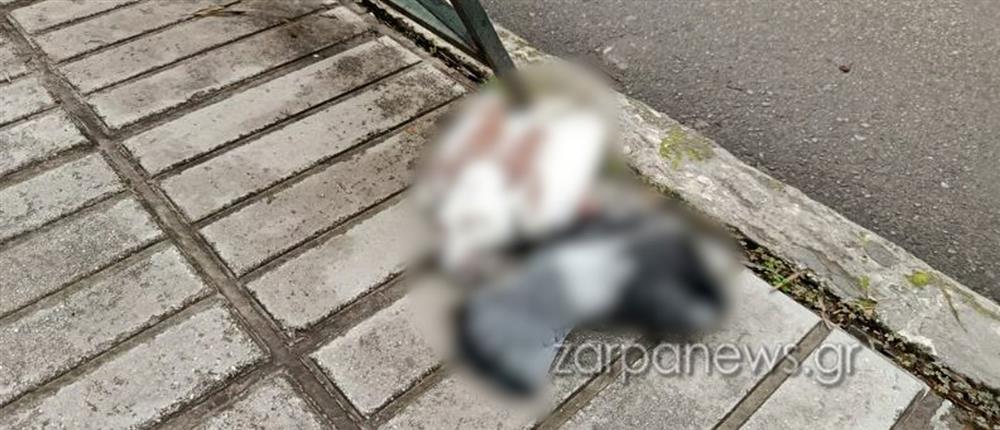 Χανιά - Περιστέρια Χανιά - Περιστέρια